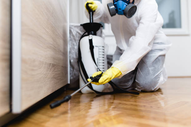 Best Ant Control Services  in Dayton, VA