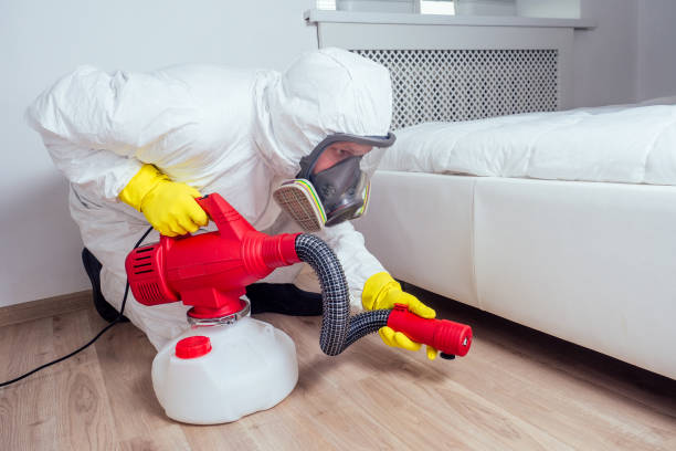 Flea Control Services in Dayton, VA